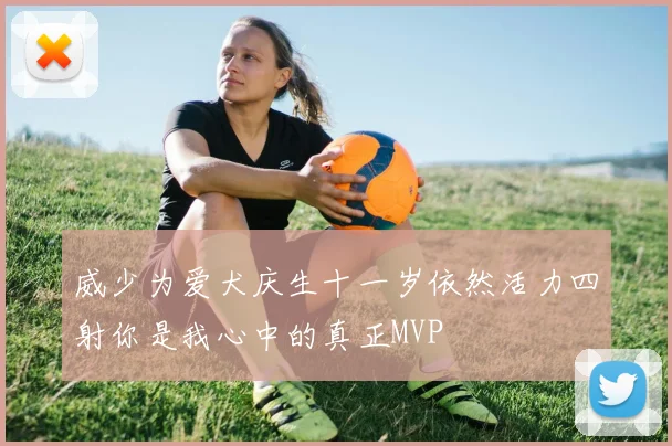 威少为爱犬庆生十一岁依然活力四射你是我心中的真正MVP