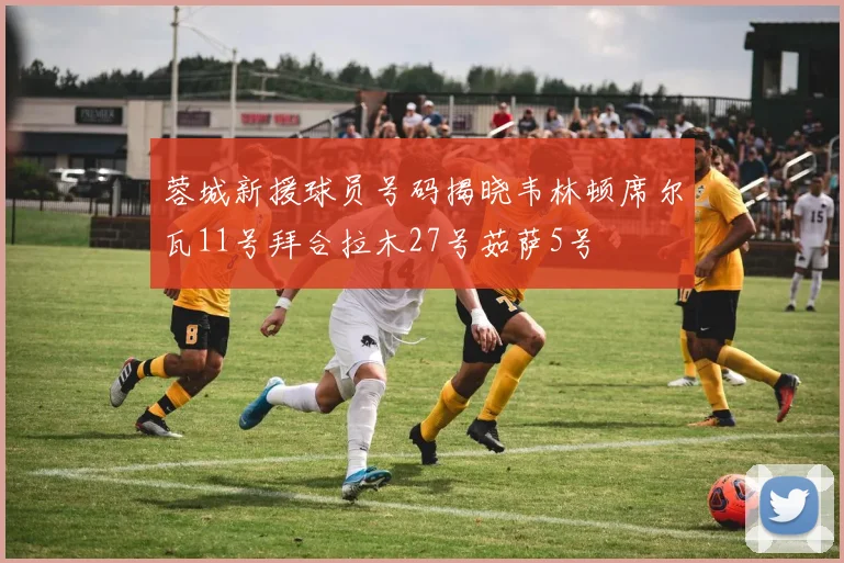 蓉城新援球员号码揭晓韦林顿席尔瓦11号拜合拉木27号茹萨5号