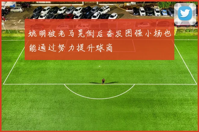 姚明被老马晃倒后奋发图强小杨也能通过努力提升球商