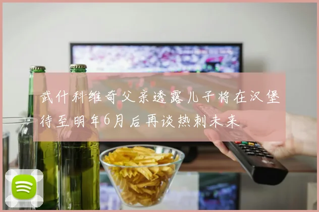 武什科维奇父亲透露儿子将在汉堡待至明年6月后再谈热刺未来